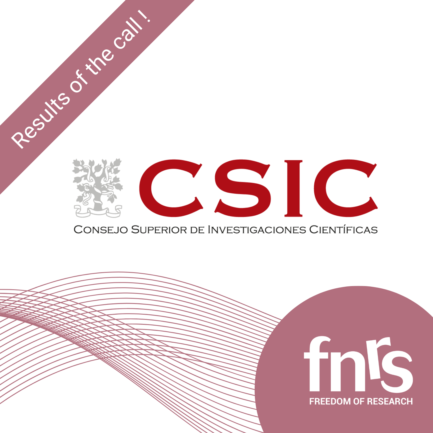 CSIC-Resultats-2025-EN