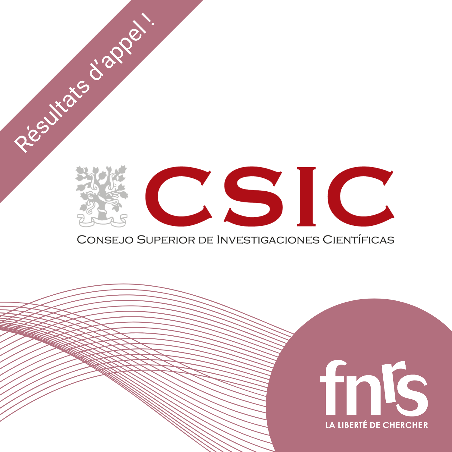 CSIC-Resultats-2025-FR