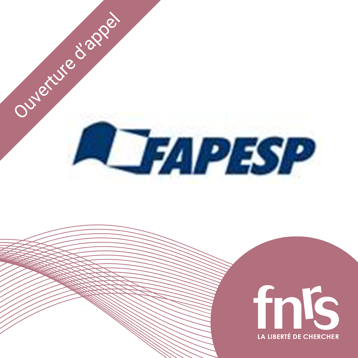 FAPESP-open-2025-FR