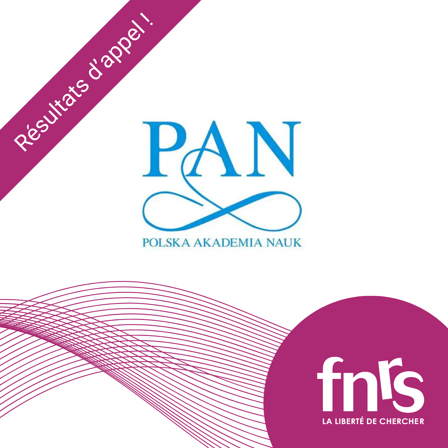 PAN-Resultats-2025-FR