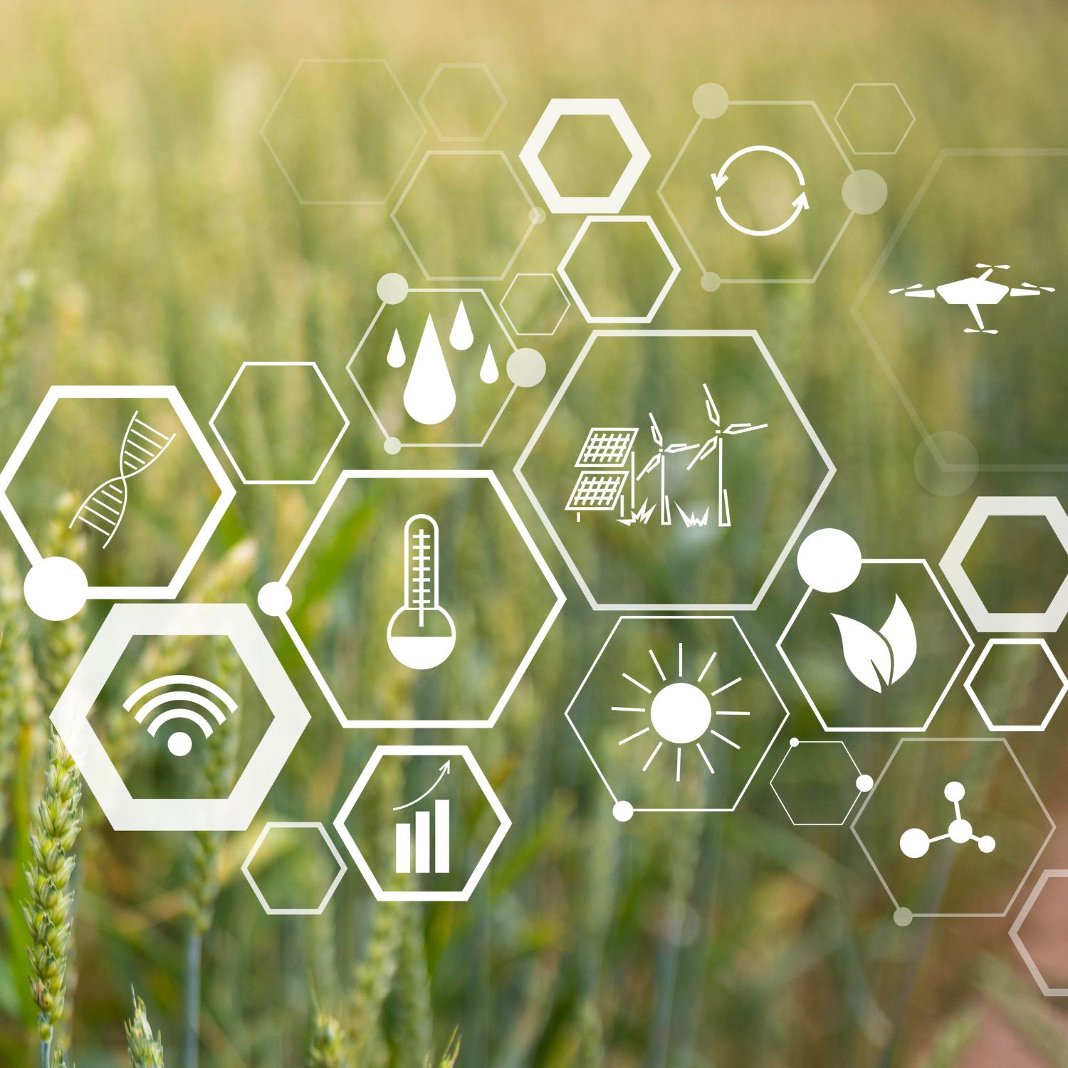 agritech