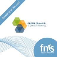 Opening of the GEH Third Call
