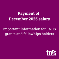 Payment of December 2025 salary