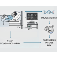 La qualité du sommeil révèle le risque de Parkinson dès la vingtaine