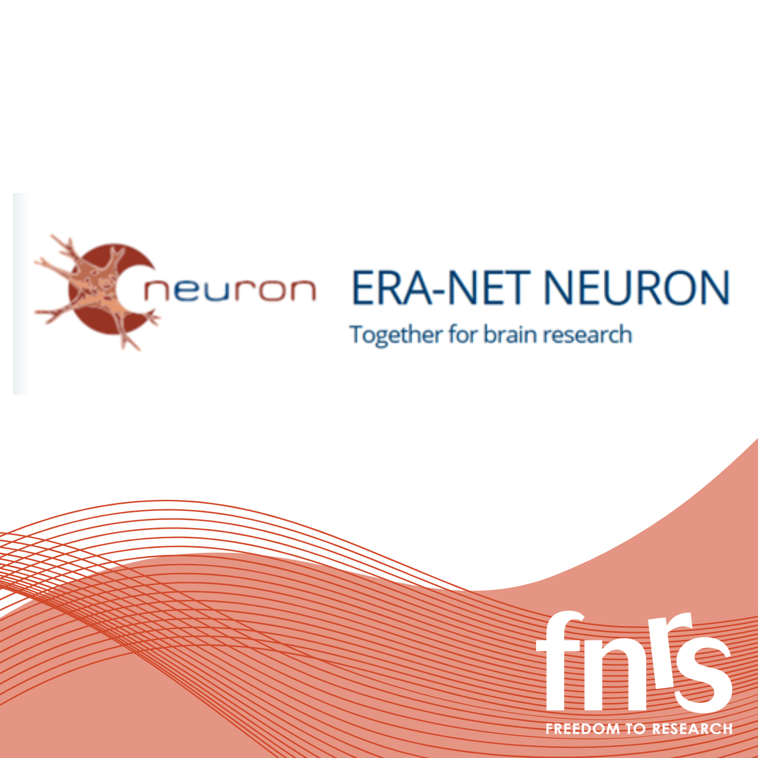 NEURON2025ENG