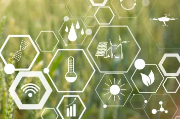 Appel à candidatures pour les Doctoriales franco-belges de l'AgriTech