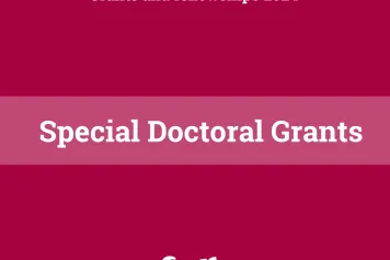 Special Doctoral Grants - Results of the call Grants and Fellowships 2024