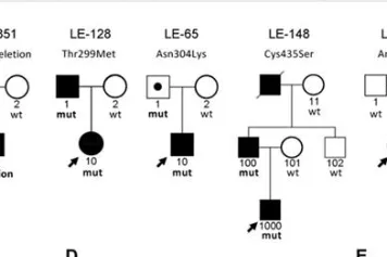 PUBLICATION SCIENTIFIQUE | Membres gonflés : une découverte permet de comprendre l'origine de la maladie