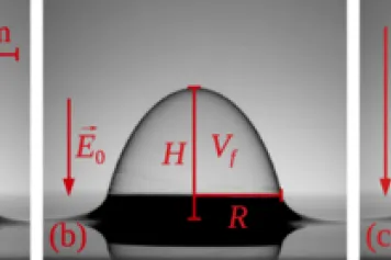 L’influence du substrat sur la forme et la dynamique des bulles