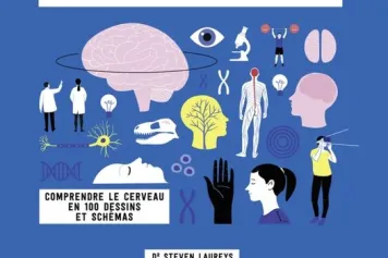 A lire : Cerveaugraphie - Comprendre le cerveau en 100 dessins et schémas 