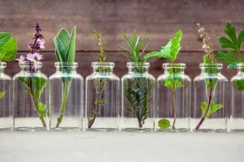 CO//ectif : Appel à projets 2022