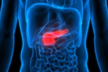 Nouvelle récompense pour Decio Eizirik