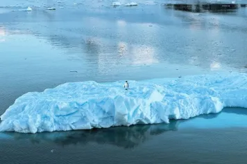 Les efforts actuels de conservation de l'Antarctique sont insuffisants pour éviter le déclin de la biodiversité