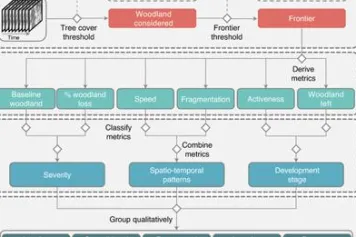 Identification des "frontières de la déforestation"