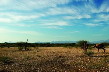 Un nouveau projet sur les interactions climat-migration pour l'Observatoire HUGO : HABITABLE