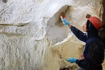 La lunaemycin, un nouvel antibiotique tiré du lait de lune