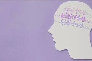 Des "mini-cerveaux" en culture in vitro sur la durée