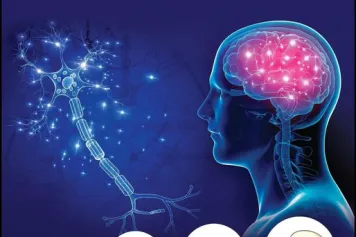 A lire : "Neocortical Neurogenesis in Development and Evolution, One"