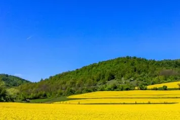 ?⚠️ Dix vérités sur nos sols à ne pas perdre de vue
