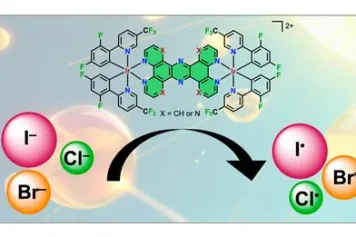 Chloride, Bromide, and Iodide Photooxidation in Acetonitrile/Water Mixtures Using Binuclear Iridium(III) Photosensitizers