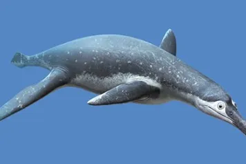 PUBLICATION SCIENTIFIQUE | Retracer l'évolution des plésiosaures