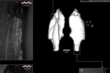 « Terminal ballistic analysis of impact fractures reveals the use of spearthrower 31 ky ago at Maisières-Canal, Belgium »