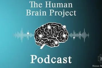 The puzzle of human consciousness: An Interview with Steven Laureys