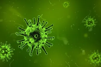 Découverte? I Virus "UNE NOUVELLE PORTE D’ENTRÉE DES VIRUS DANS LES CELLULES IDENTIFIÉE À UCLouvain