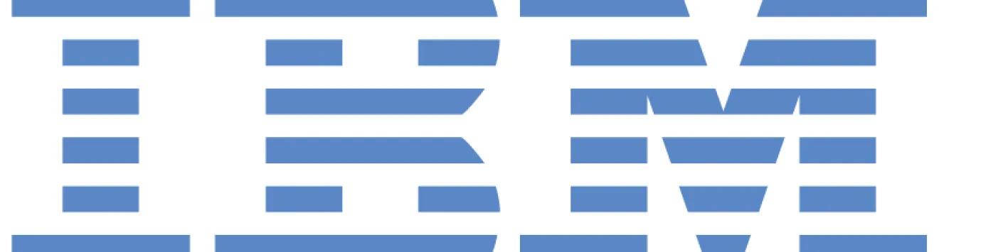 IBM Innovation Award
