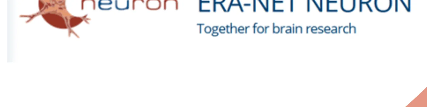 ERA-NET NEURON - JTC 2025 - "Interdisciplinary Approaches to the Neuroscience of Pain"