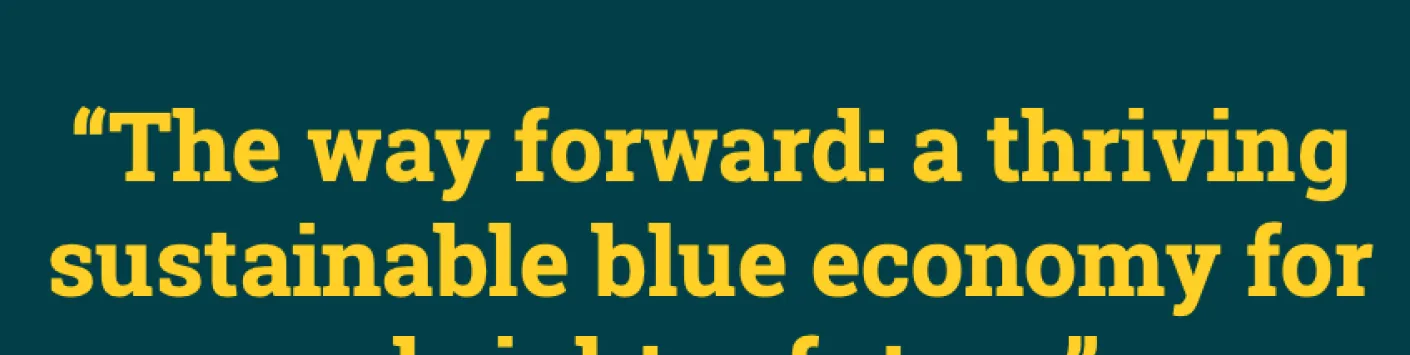 Sustainable Blue Economy Partnership’s first joint transnational call:  “The way forward: a thriving sustainable blue economy for a brighter future”