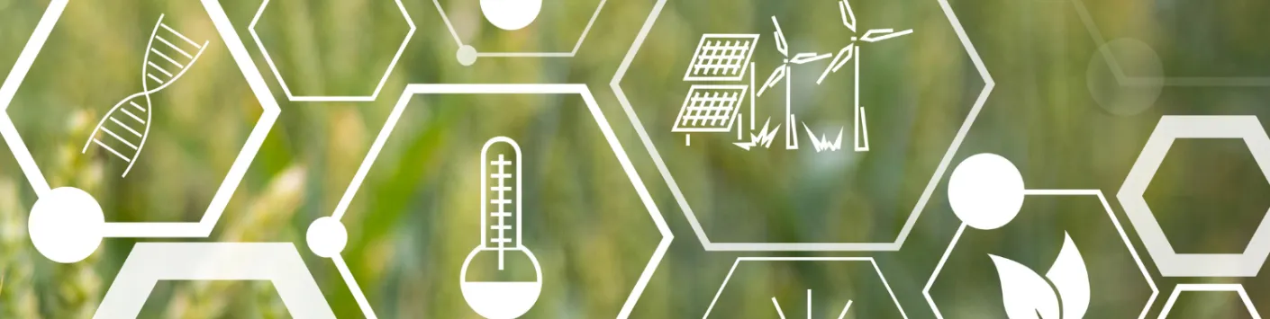 Appel à candidatures pour les Doctoriales franco-belges de l'AgriTech