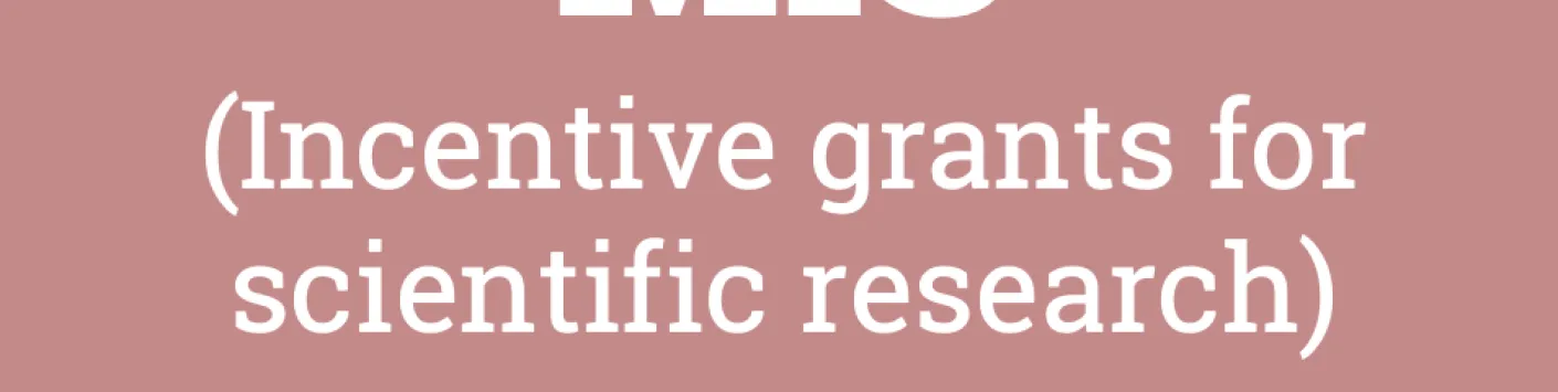 Incentive grants for scientific research (MIS) Results