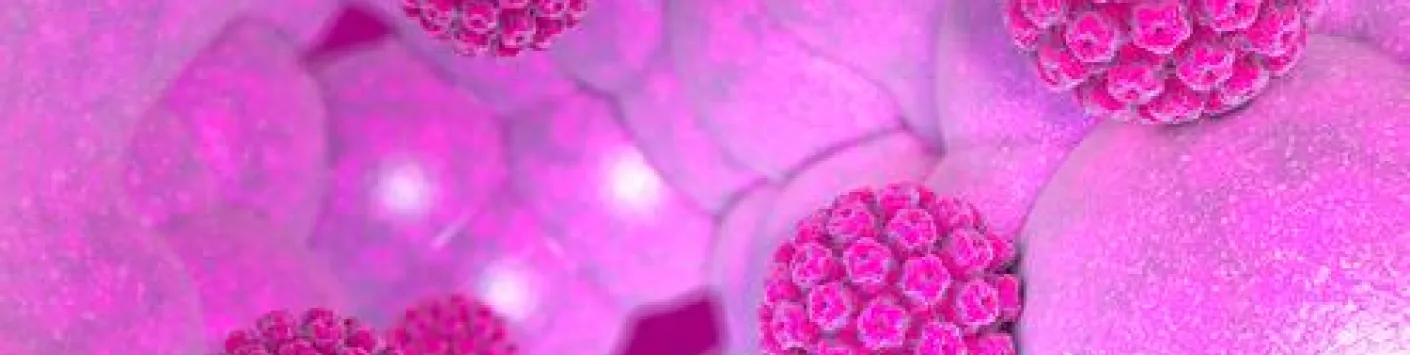 Aperçu moléculaire du détournement de la réparation de l'ADN de l'hôte par HPV