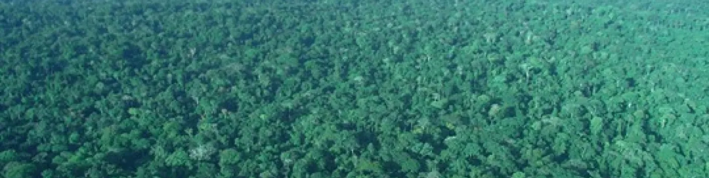 Préserver la biodiversité? N’oublions pas la diversité génétique!