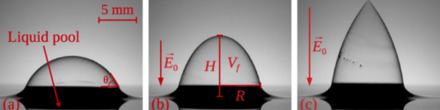 L’influence du substrat sur la forme et la dynamique des bulles