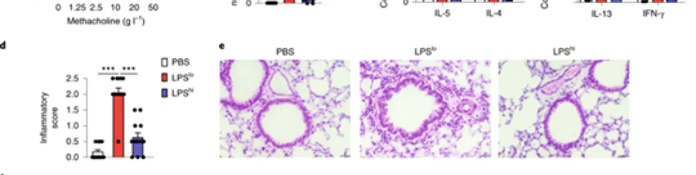 Thomas Marichal et Fabrice Bureau publient dans Nature