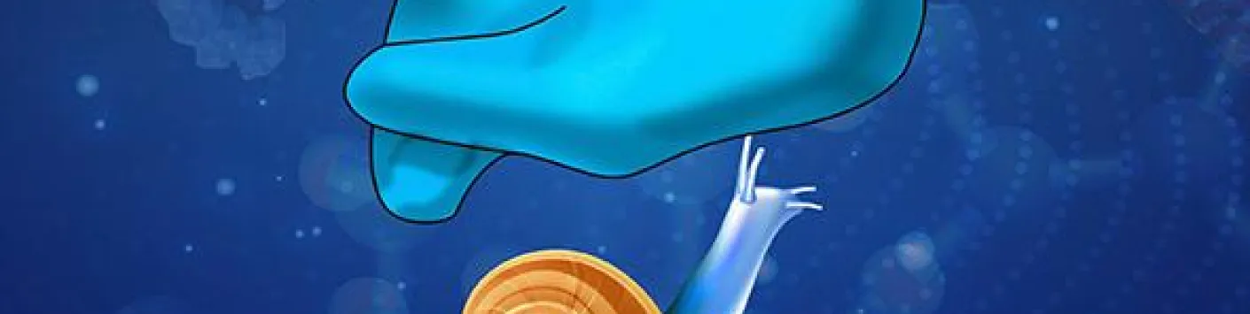 ? Un escargot namurois en une de la revue Molecular Cell !