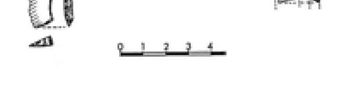 ⚒ Evolution des armes de chasse à l’Abri Pataud 