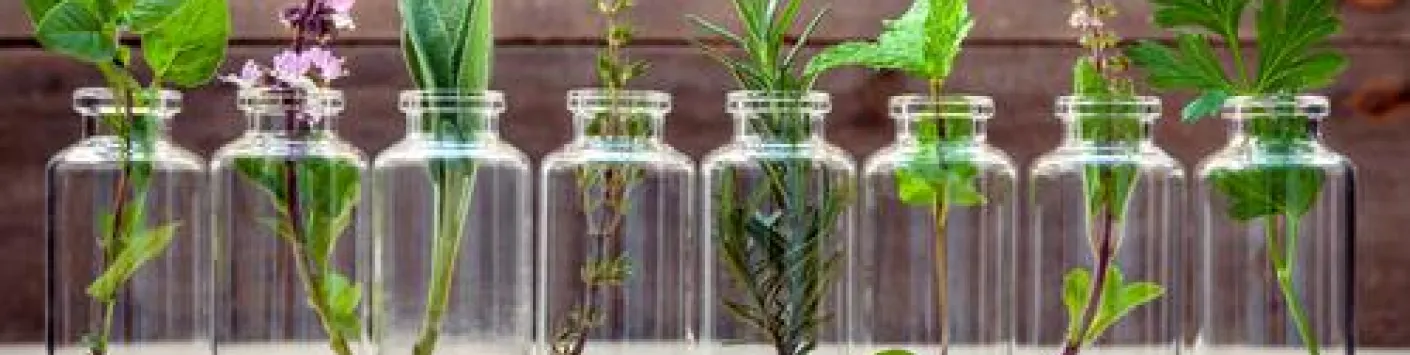 CO//ectif : Appel à projets 2022