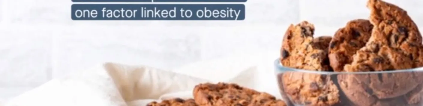 Rôle du microbiome intestinal dans la régulation de la récompense alimentaire et de l'alimentation compulsive