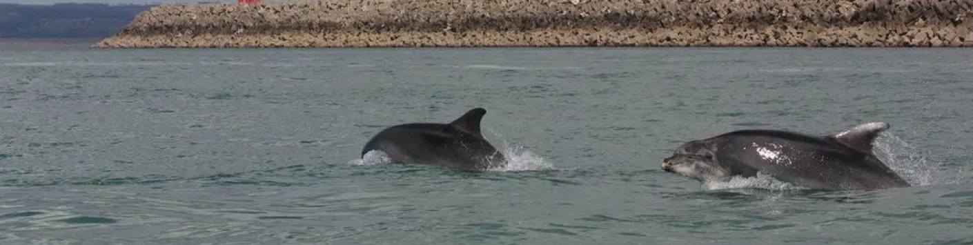 Pollution chimique : aucune eau n’est épargnée!