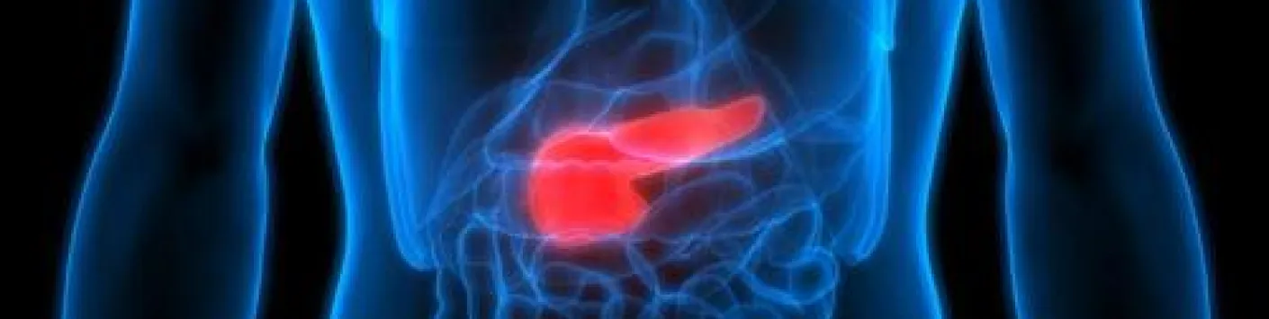 Nouvelle récompense pour Decio Eizirik