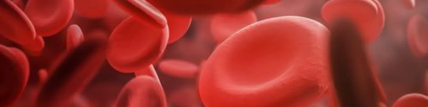 ? L’anémie de Diamond-Blackfan : nouvelles du front