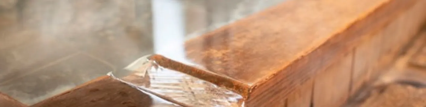 Les coulisses des bains-douches - Actualités de l'ULB