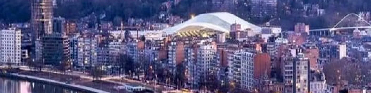 L’École doctorale thématique FNRS Chimie moléculaire, supramoléculaire et fonctionnelle (CHIM), organise sa prochaine journée annuelle le 26 janvier 2024 à l'Université de Liège.