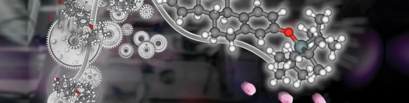 Production d’estétrol biosourcé