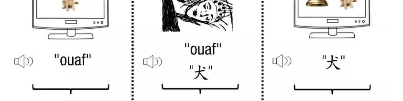 Hypnopédie : peut-on apprendre une langue étrangère en dormant ?