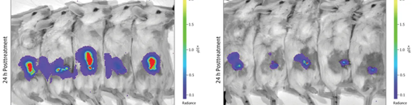 Découverte scientifique