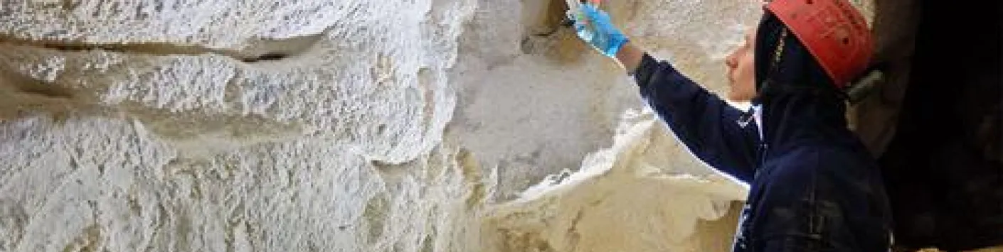 La lunaemycin, un nouvel antibiotique tiré du lait de lune